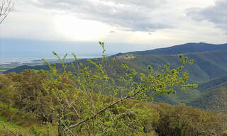 Terrain  215 m² à vendre à Prunelli-di-Fiumorbo (20243)