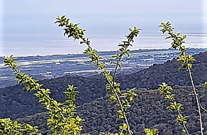 A SAISIR TERRAIN DE 215m2 A VENDRE A PRUNELLI DI FIUMORBO! — photo 5
