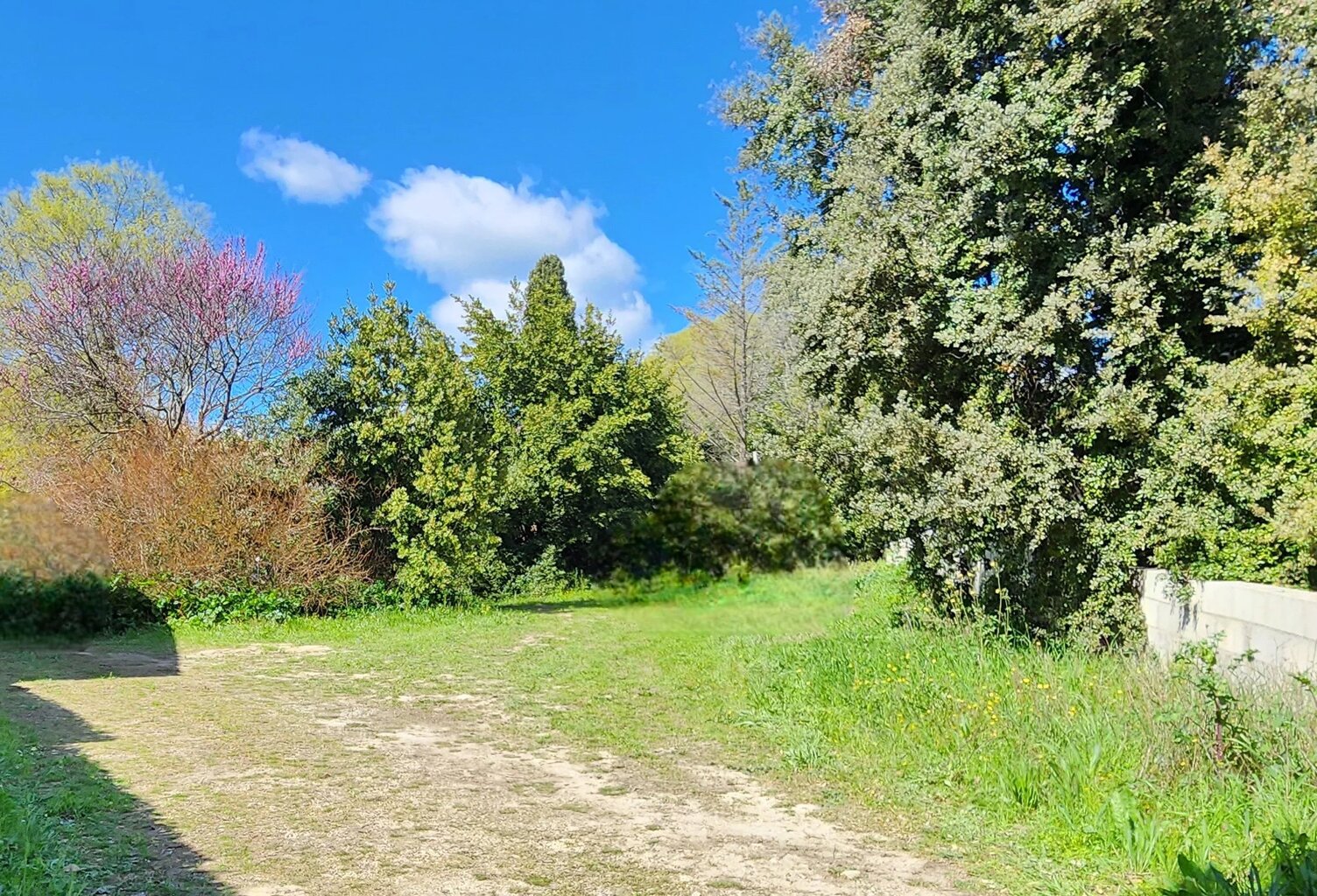 Superbe terrain arboré et viabilisé — photo 1