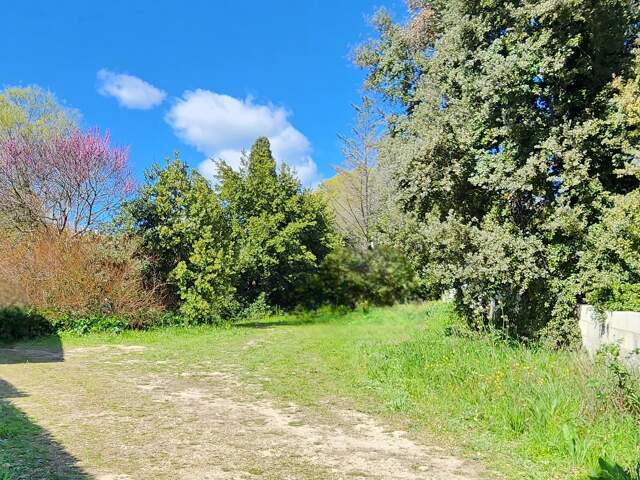 Superbe terrain arboré et viabilisé — photo du bien