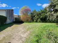 Superbe terrain arboré et viabilisé — photo 4