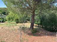Vente Terrain à bâtir 503 m&sup2; — photo 3