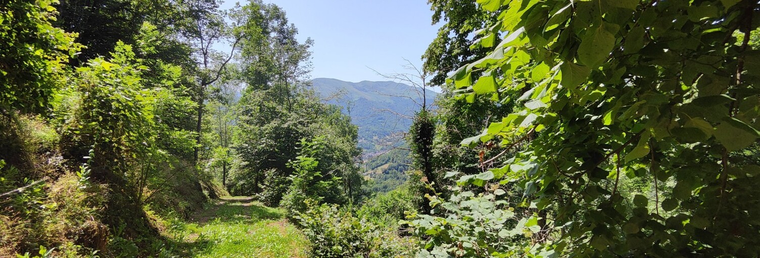 Maison 1 Pièce 37 m² à vendre à Saurat (09400)