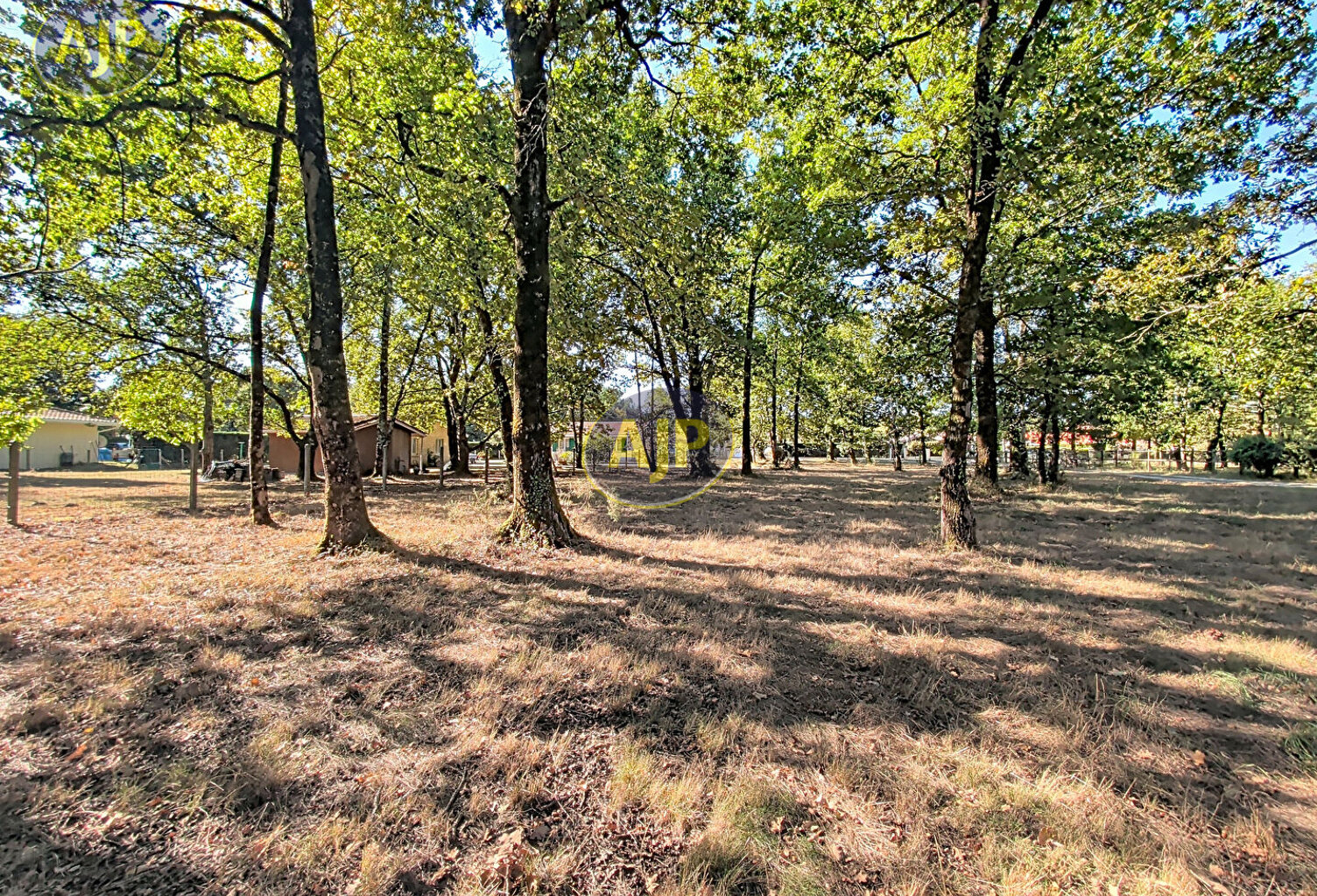 Terrain de 6155 m² dont 1600 m² de constructible — photo 1