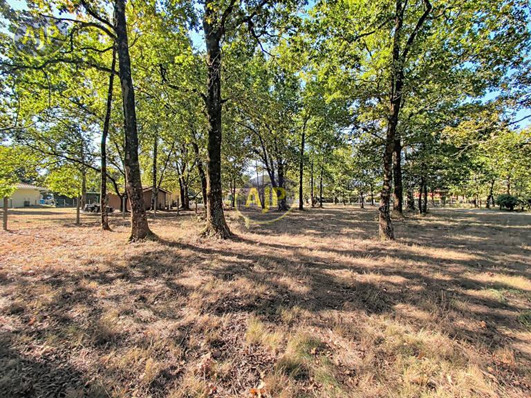 Terrain de 6155 m² dont 1600 m² de constructible — photo 1