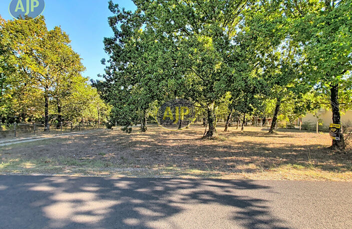Terrain de 6155 m² dont 1600 m² de constructible — photo 3