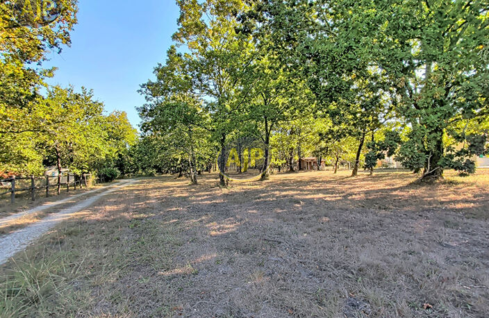 Terrain de 6155 m² dont 1600 m² de constructible — photo 5