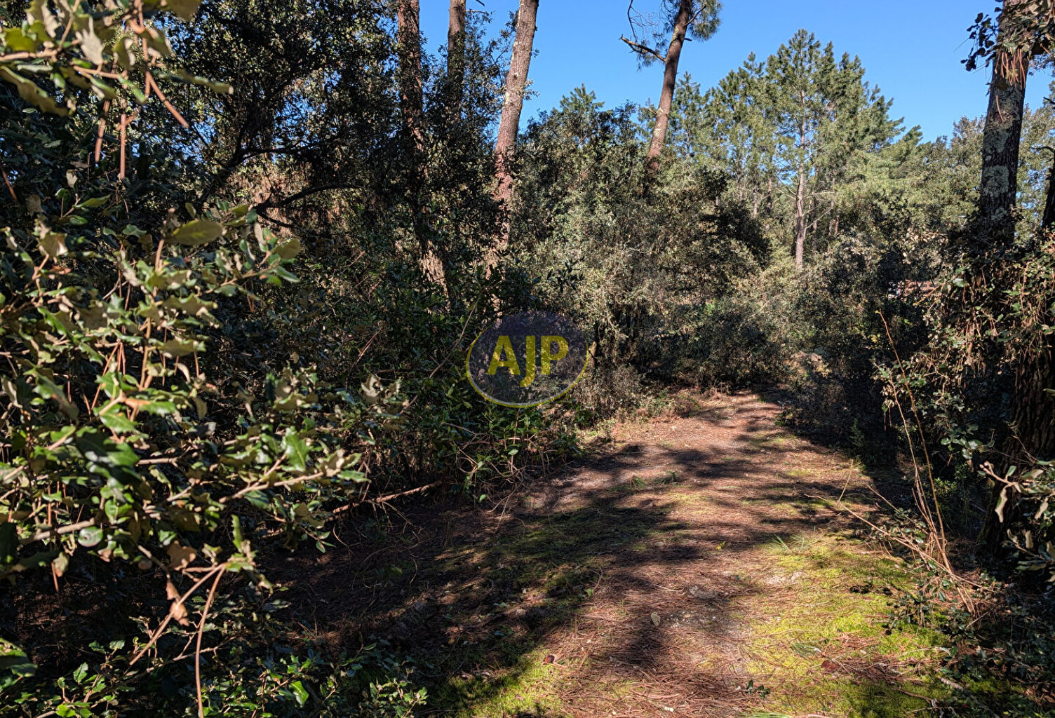 Terrain Le Verdon Sur Mer 546 m2 — photo 1