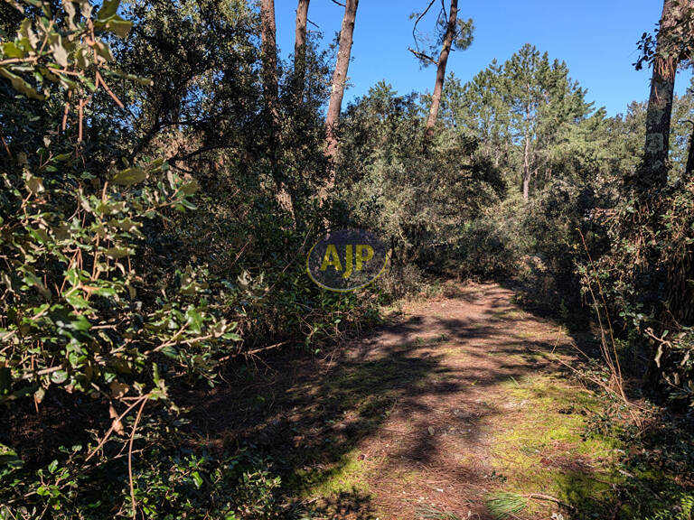 Terrain Le Verdon Sur Mer 546 m2 — photo 1