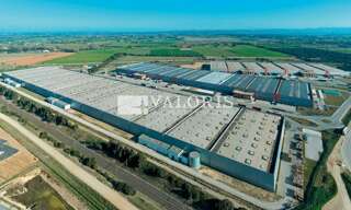 Commerce  5531 m² à louer à Saint-Martin-de-Crau (13310)