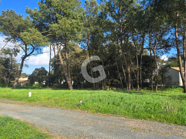Terrain 459 m² à vendre à Jard Sur Mer — photo du bien