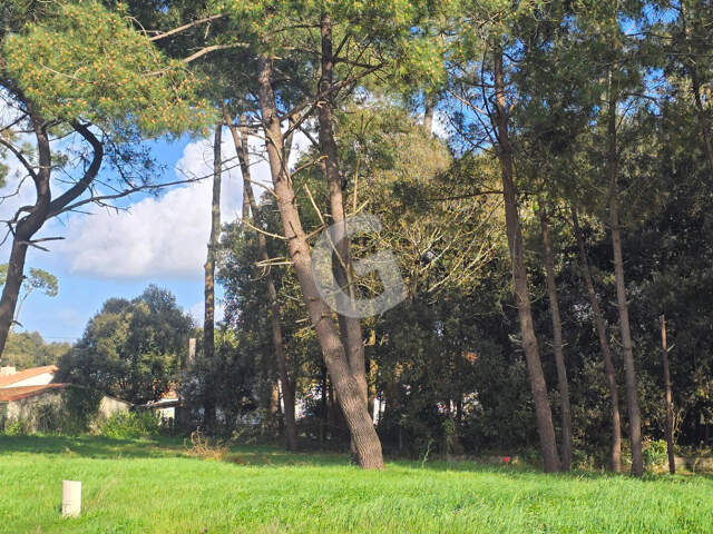 Terrain 509 m² à vendre à Jard Sur Mer — photo du bien