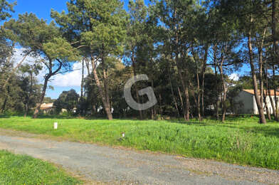 Terrain  175000 €
