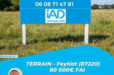 Terrain  80000 €