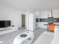 Appartement de 2 pièces principales — photo 3