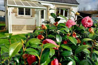 Maison 3 pièces 120000 €