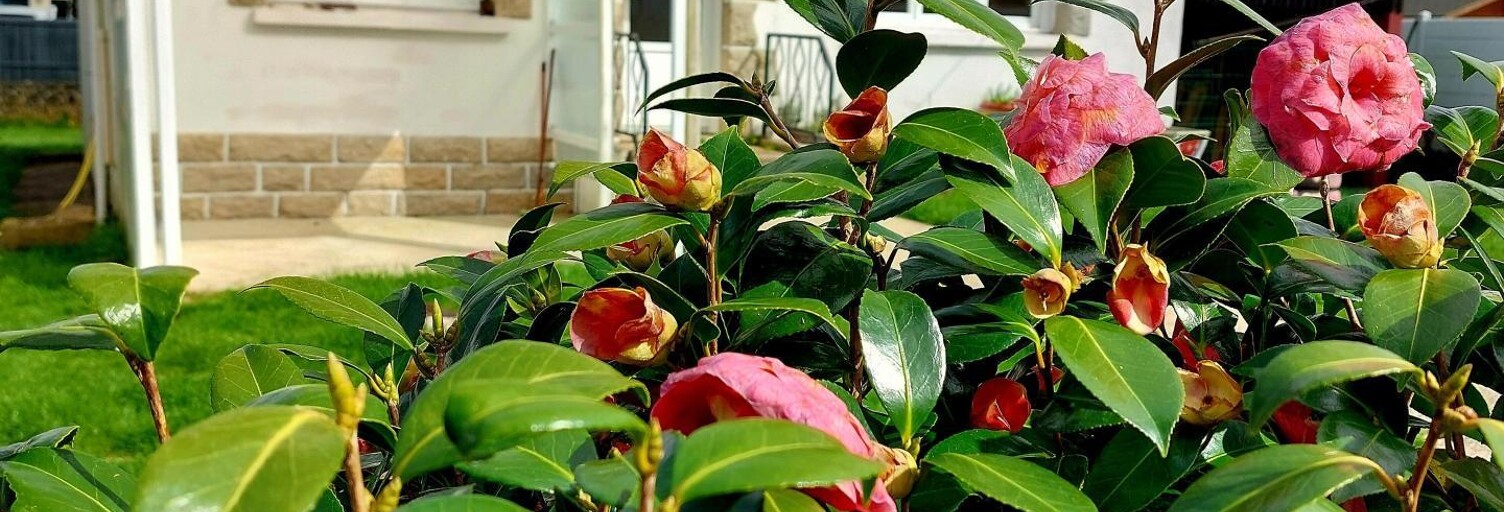 Maison 3 Pièces 72 m² à vendre à Ploërdut (56160)