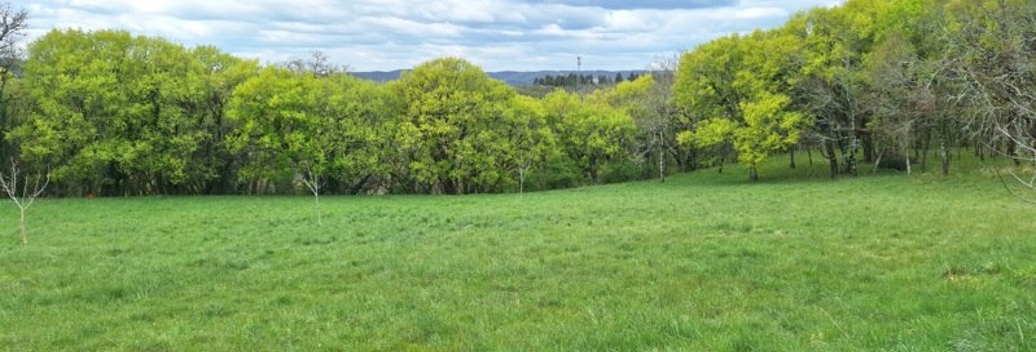 Terrain  6000 m² à vendre à Pinsac (46200)