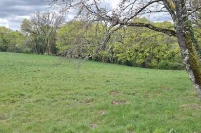 Terrain  40000 €