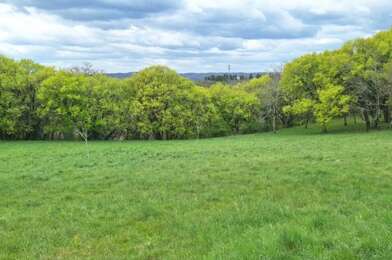 Terrain  35000 €