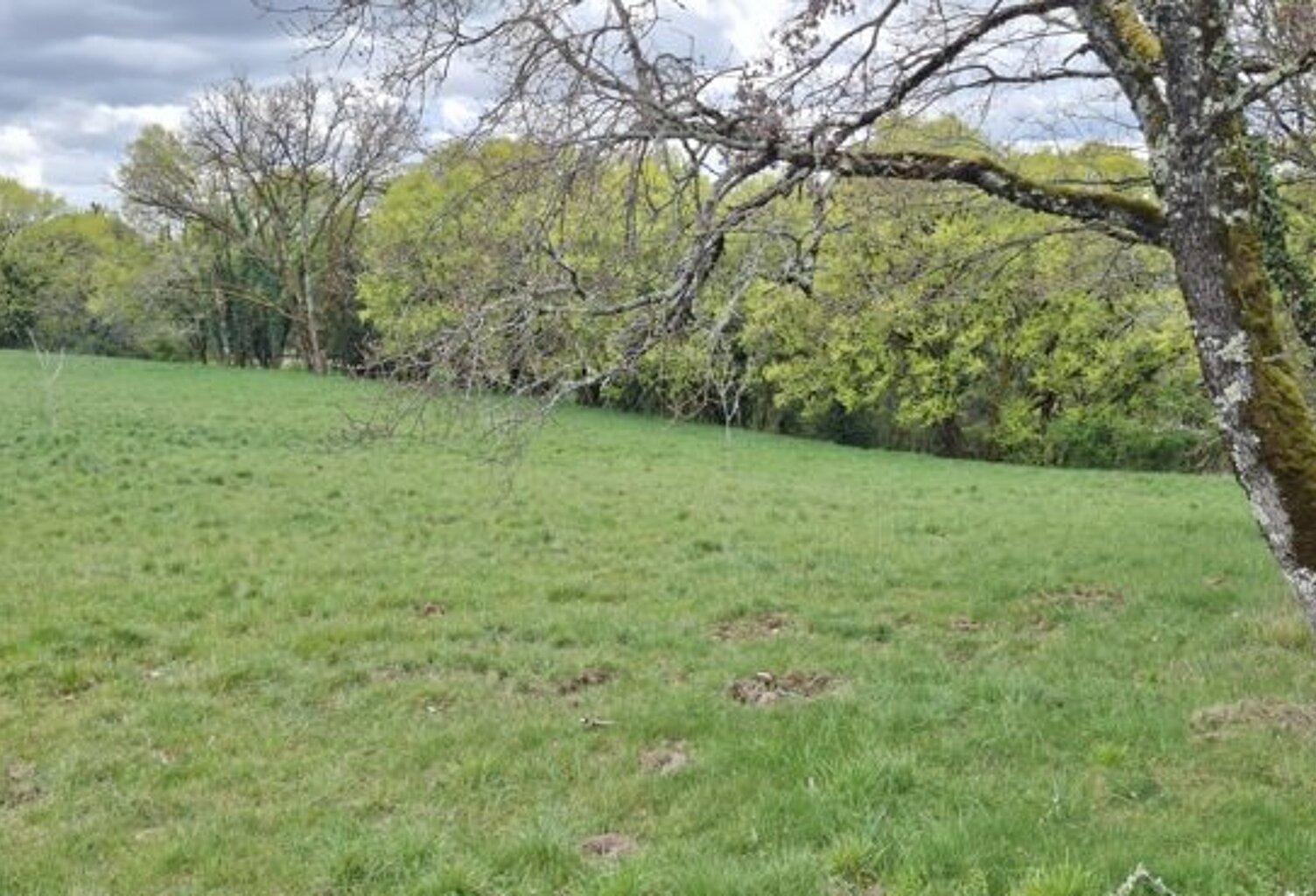 Terrain à bâtir de 0 pièces principales — photo 1