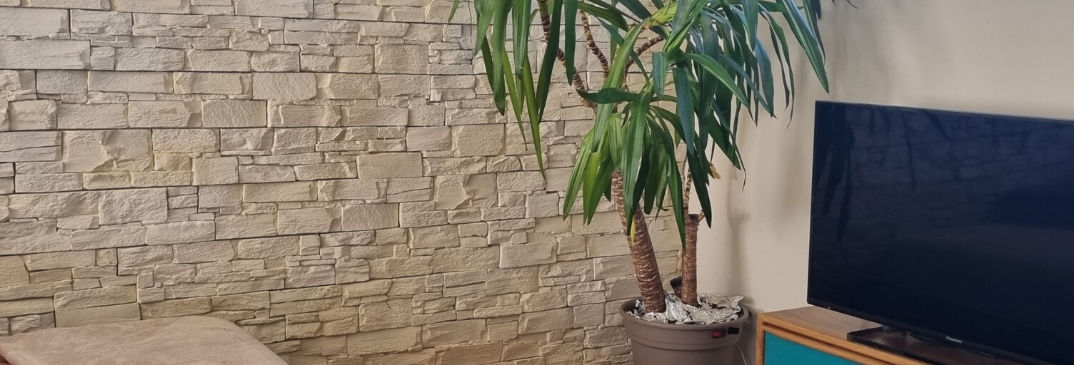 Maison 8 Pièces 117 m² à vendre à Bellevigne-en-Layon (49380)