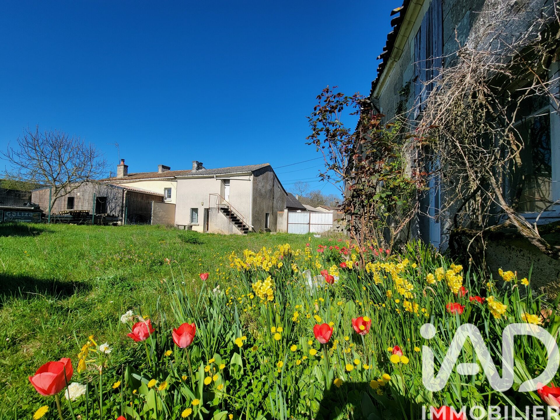 Maison à vendre, 2 pièces, 37 m², Doué-en-Anjou