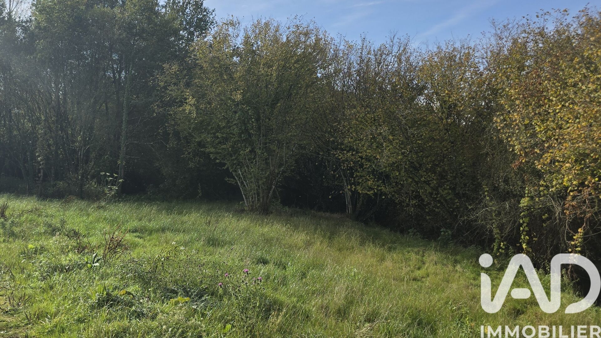 Vieux-Vy-Sur-Couesnon - 4424m²