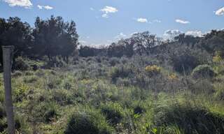 Terrain  4880 m² à vendre à Castillon-du-Gard (30210)