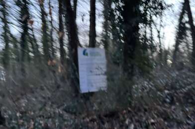 Terrain  210000 €