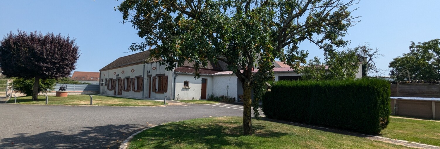 Maison 8 Pièces 200 m² à vendre à Sully-sur-Loire (45600)