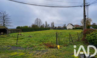 Photo N° 2