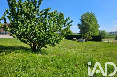 Terrain  60000 €