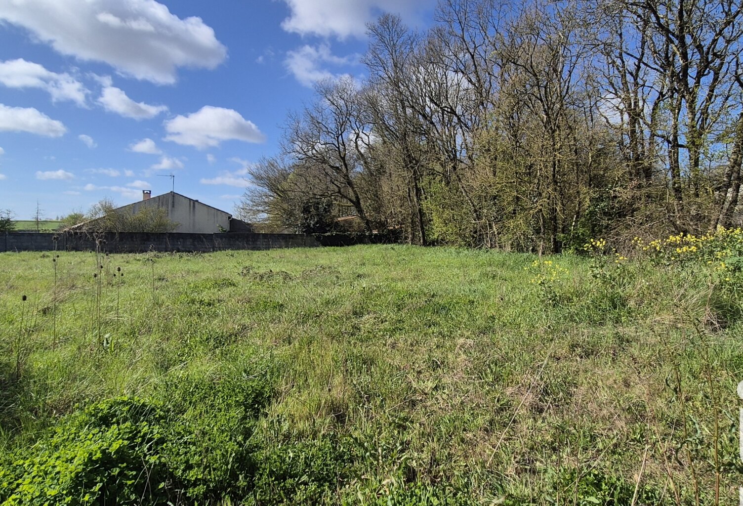 Vente Terrain à bâtir 1 600 m&sup2; — photo 1