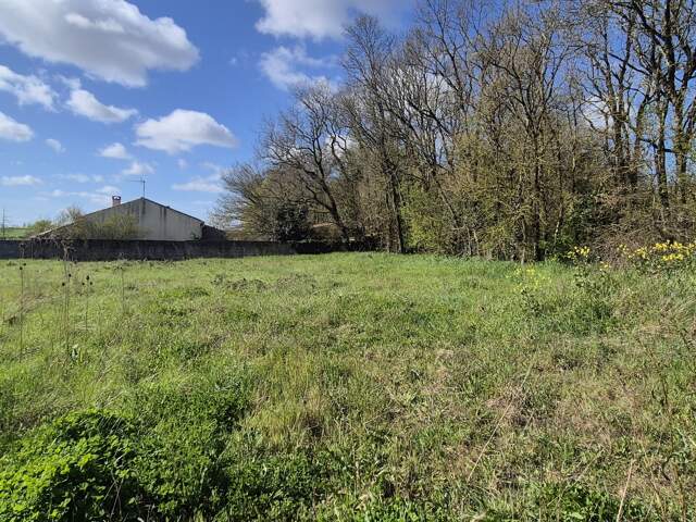 Vente Terrain à bâtir 1 600 m&sup2; — photo du bien
