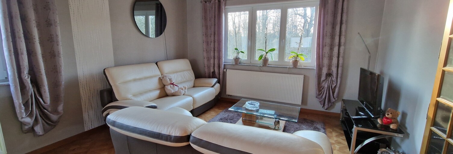 Maison 8 Pièces 201 m² à vendre à Metzing (57980)