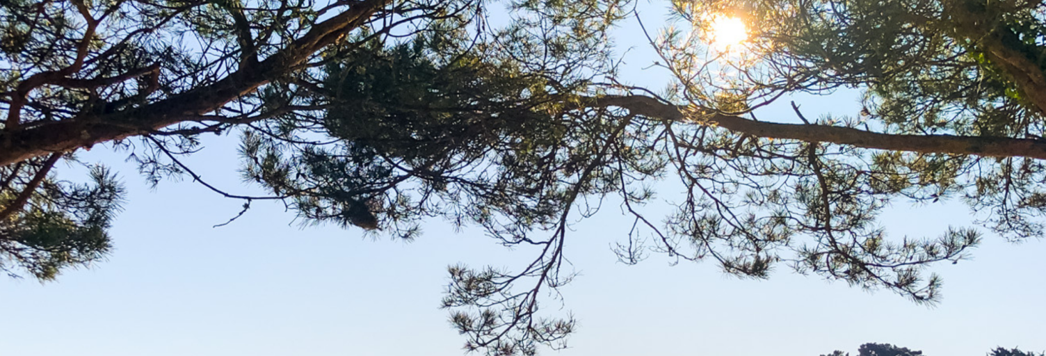 Divers 3 Pièces 35 m² à vendre à Damgan (56750)