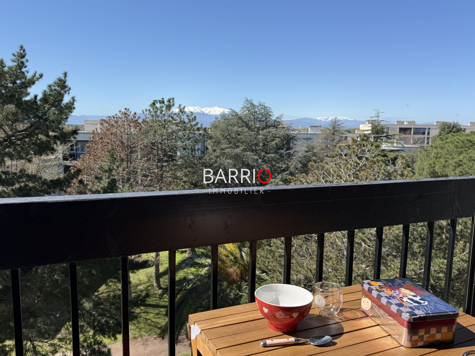 Appartement  T3 à vendre Saint-Cyprien 66750