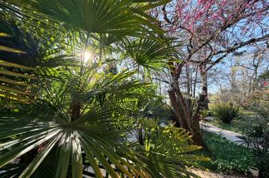Maison 8 pièces 572000 €