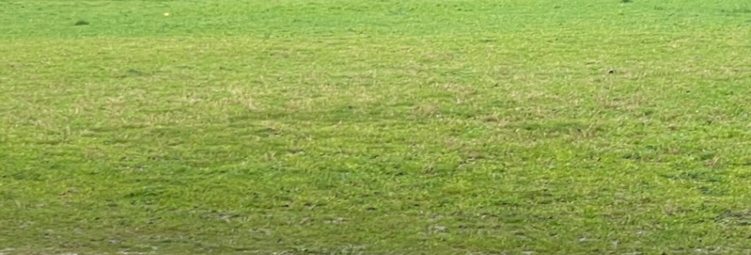 Terrain  1150 m² à vendre à Saint-Médard-en-Jalles (33160)