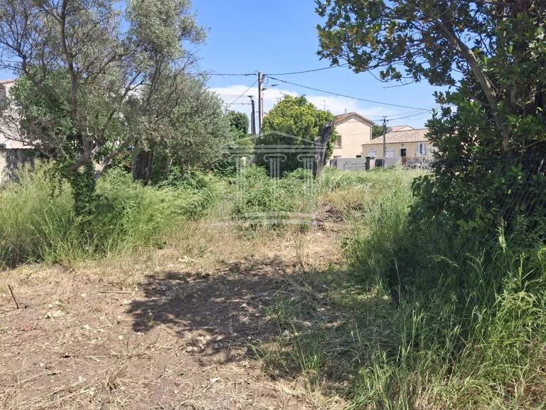 Terrain — photo 1