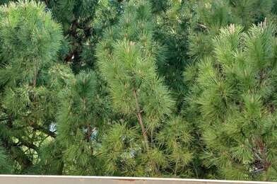 Appartement 4 pièces 174500 €