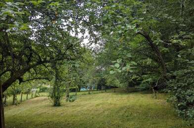 Terrain  53000 €
