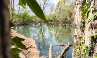 Terrain  4757 m² à vendre à La Boixe (16330)