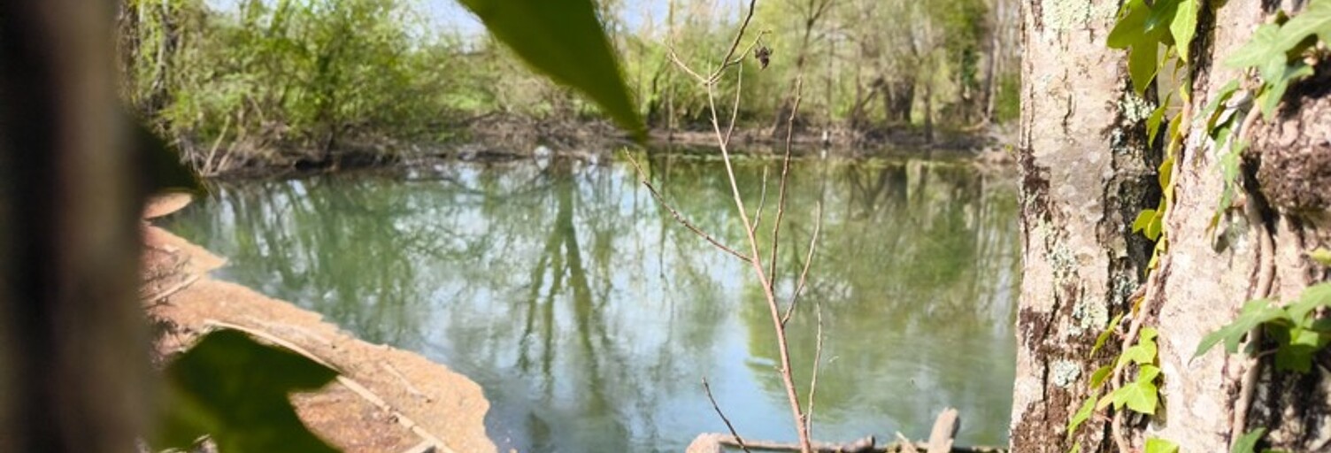 Terrain  4757 m² à vendre à La Boixe (16330)