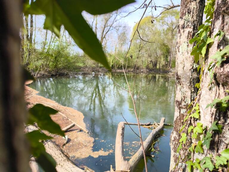 Terrain non constructible bordure Charente à vendre  VARS (16) — photo 1