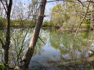 Terrain non constructible bordure Charente à vendre  VARS (16) — photo 2