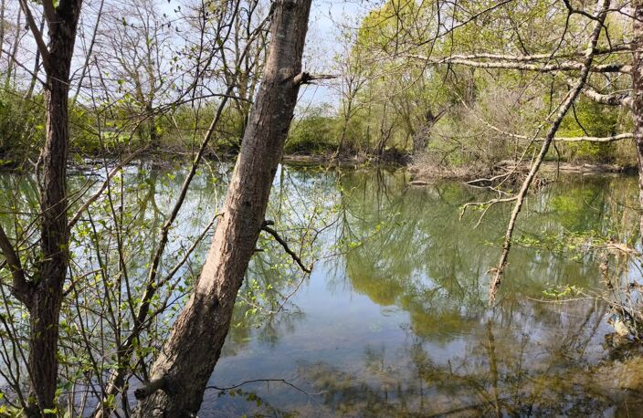 Terrain non constructible bordure Charente à vendre  VARS (16) — photo 2