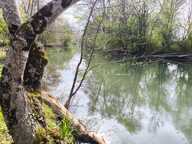 Terrain non constructible bordure Charente à vendre  VARS (16) — photo 4