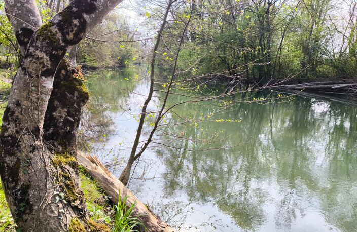 Terrain non constructible bordure Charente à vendre  VARS (16) — photo 4